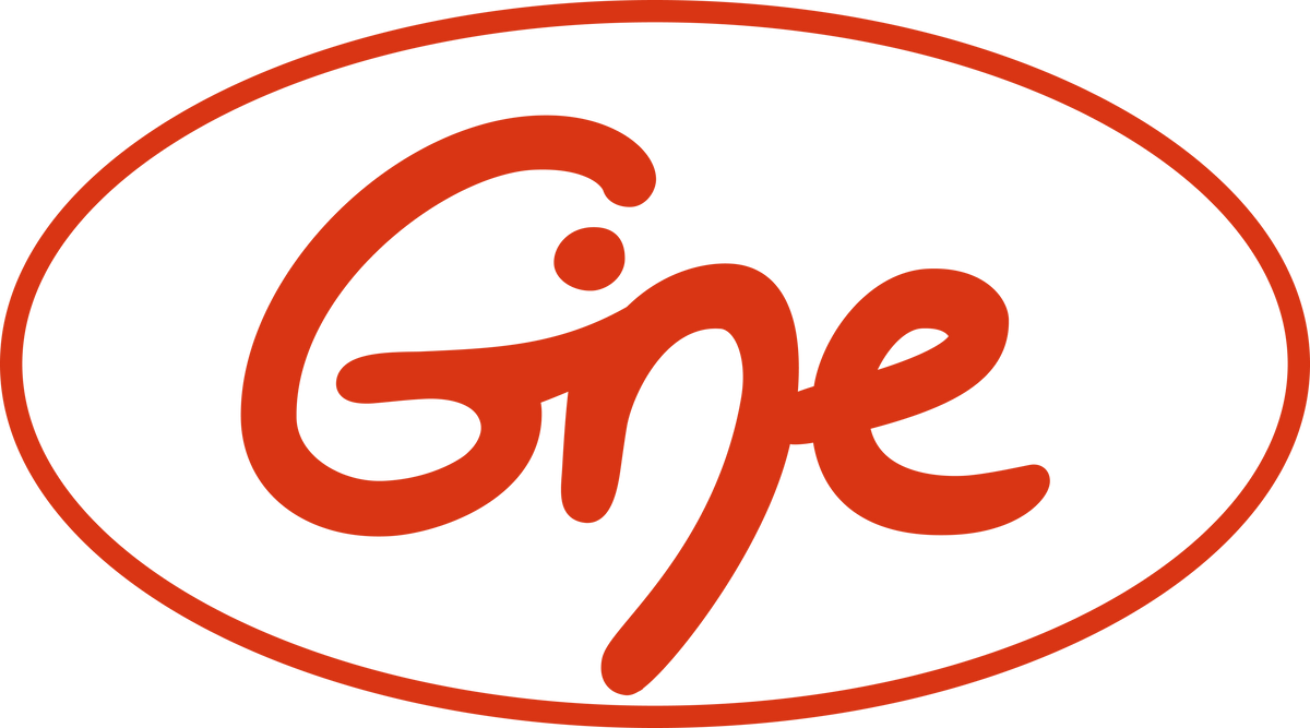 Gine store
